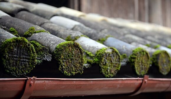 H'Mong King's Palace